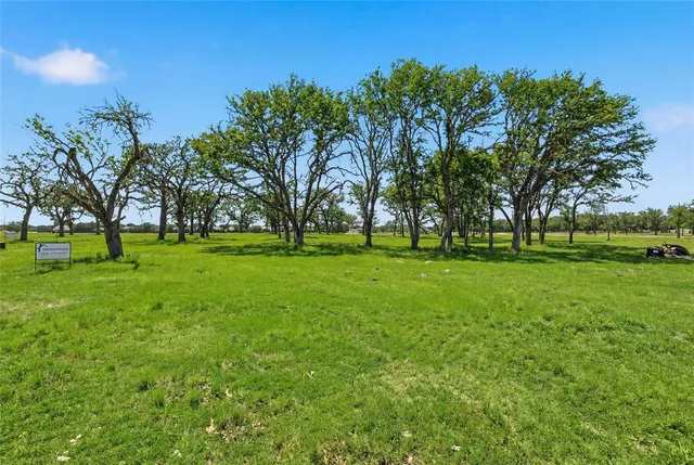 a green field with lots of trees