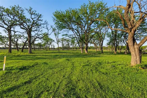 a view of a grassy field with trees