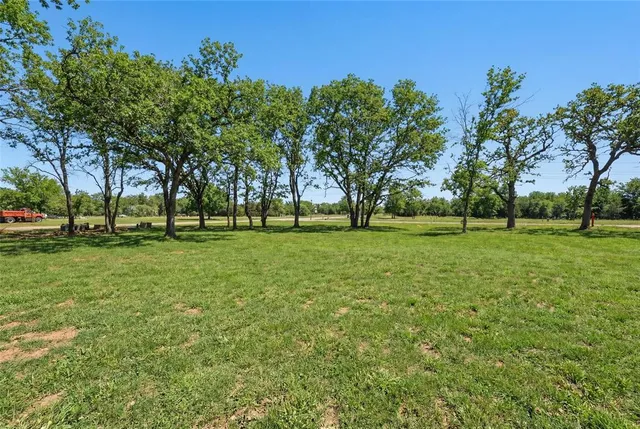 a view of a park with large trees