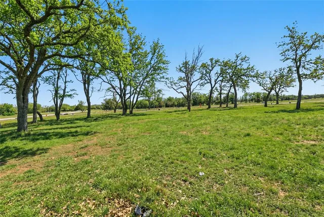a view of a trees with a big yard
