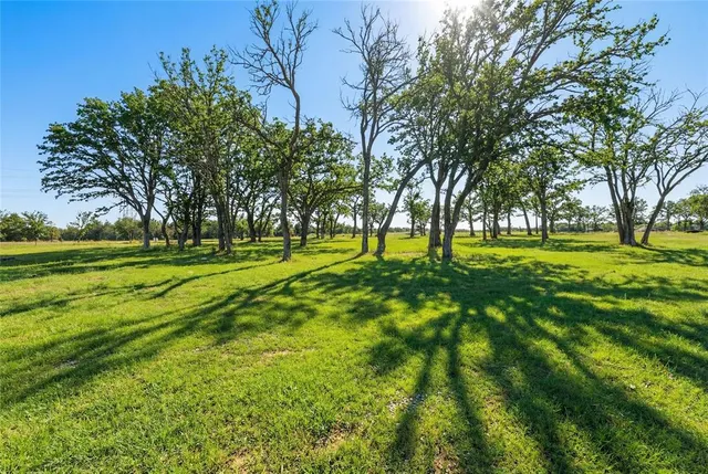 a view of a big yard with trees