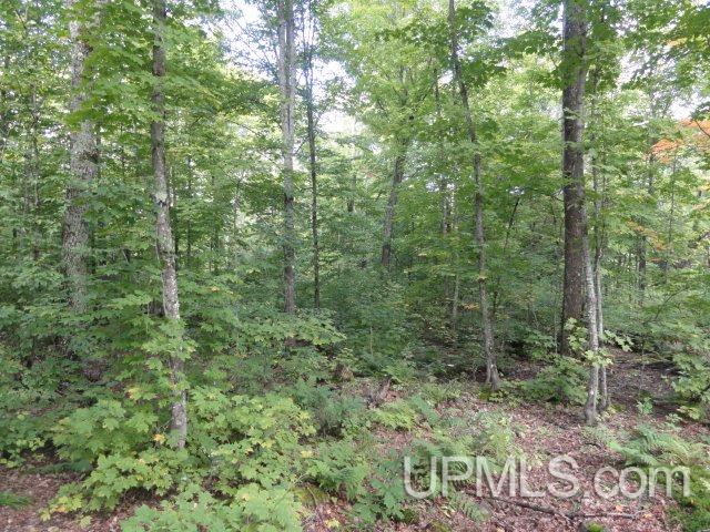 25404 West Kemppainen Road Covington, MI 49919 - Photo 12 of 17