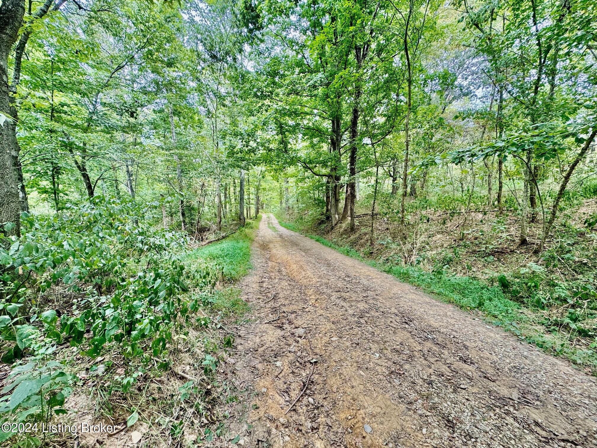 Tract#13 Tract Lane Springfield, KY 40069 - Photo 7 of 8 IMG_0182 (1)