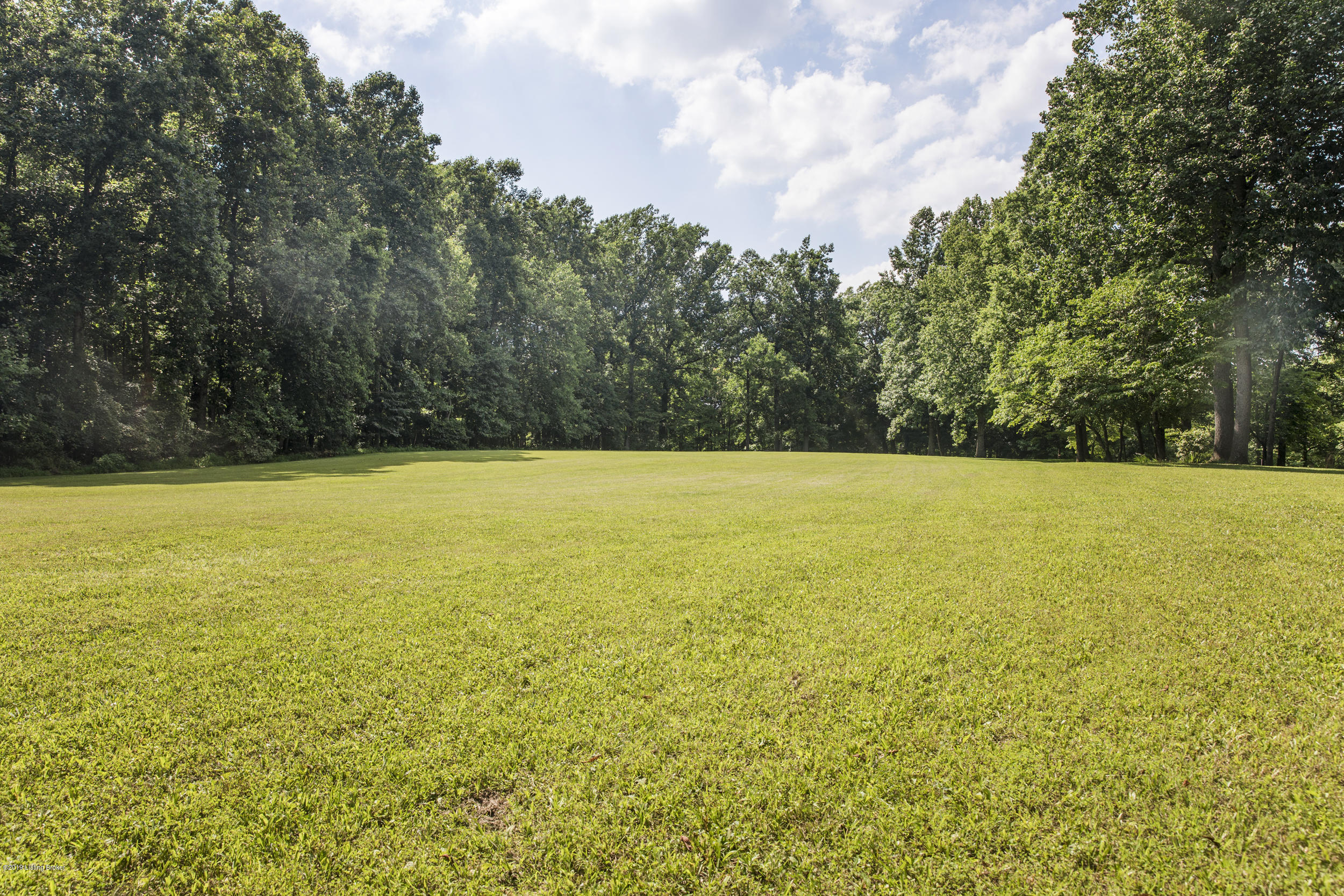 1409 Rebel Ridge Road La Grange, KY 40031 - Photo 3 of 62 59-front pasture