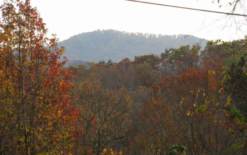 13 Walnut Way Blue Ridge, GA 30513 - Photo 1 of 1 a view of a mountain view with mountains in the background