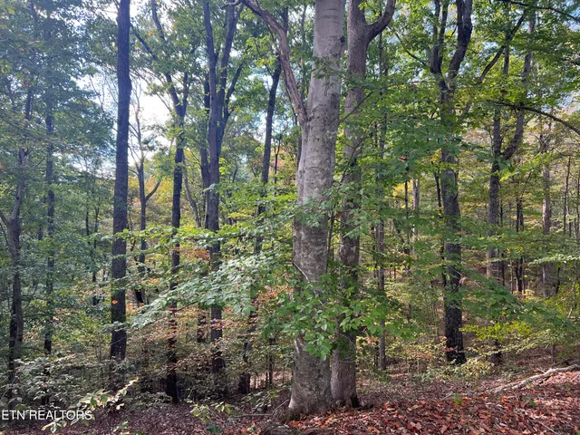 $160,000 | 0 Brady Road, Newport, TN 37821