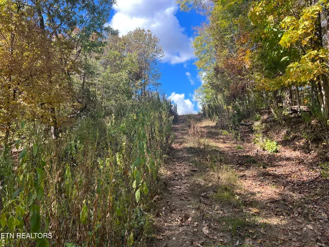 $160,000 | 0 Brady Road, Newport, TN 37821