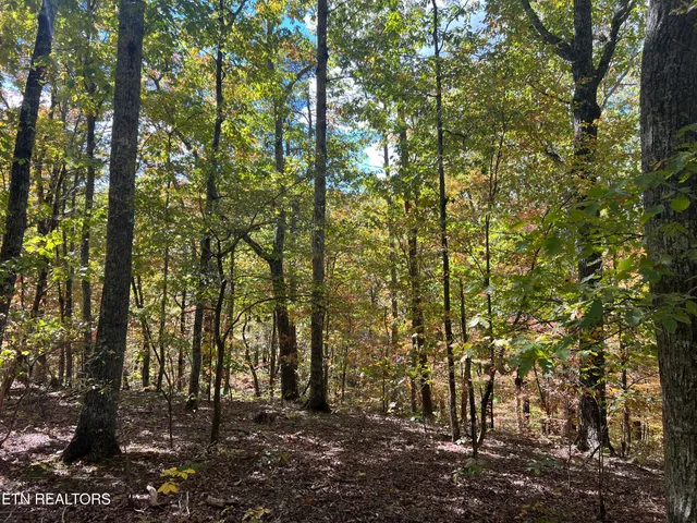 $160,000 | 0 Brady Road, Newport, TN 37821