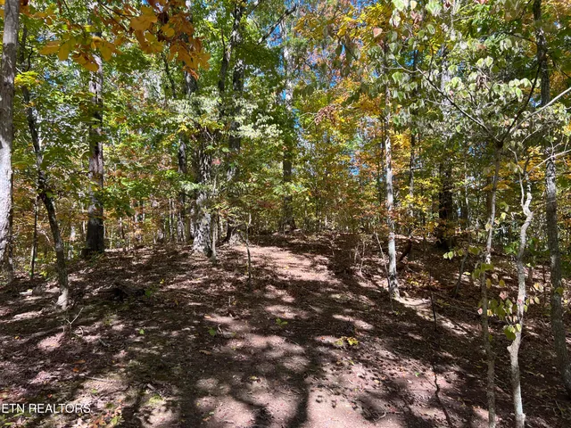 $160,000 | 0 Brady Road, Newport, TN 37821