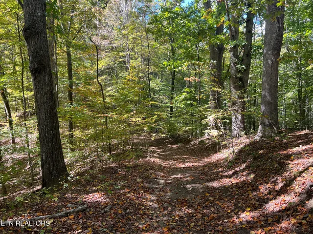 $160,000 | 0 Brady Road, Newport, TN 37821