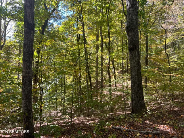 $160,000 | 0 Brady Road, Newport, TN 37821