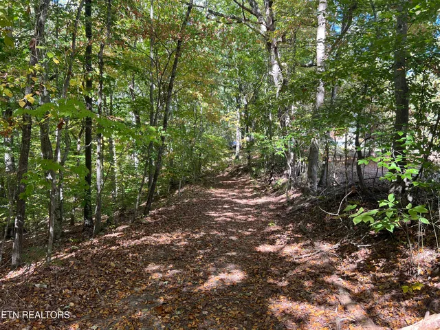 $160,000 | 0 Brady Road, Newport, TN 37821