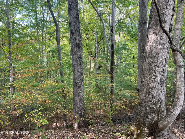 $160,000 | 0 Brady Road, Newport, TN 37821