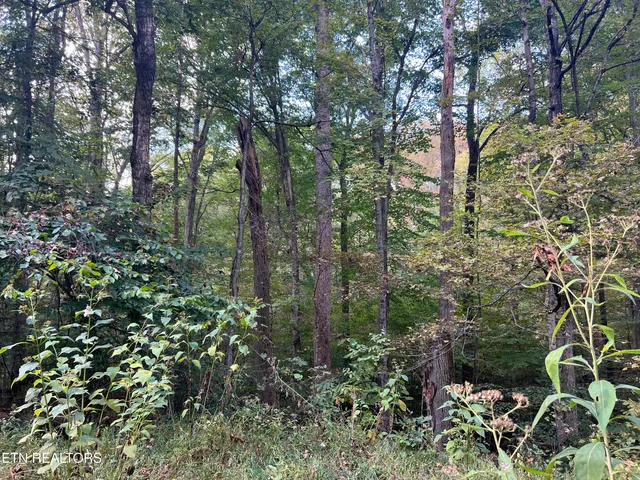 $160,000 | 0 Brady Road, Newport, TN 37821