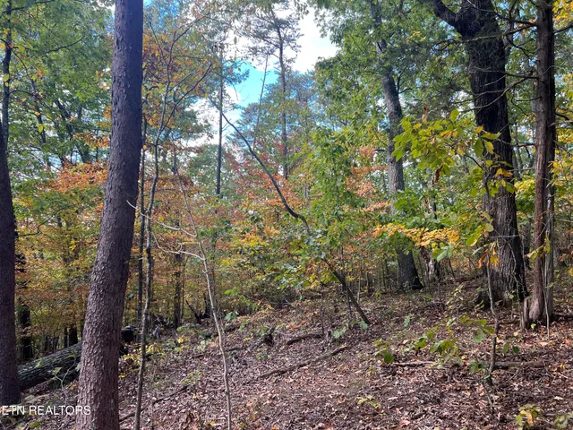 $160,000 | 0 Brady Road, Newport, TN 37821