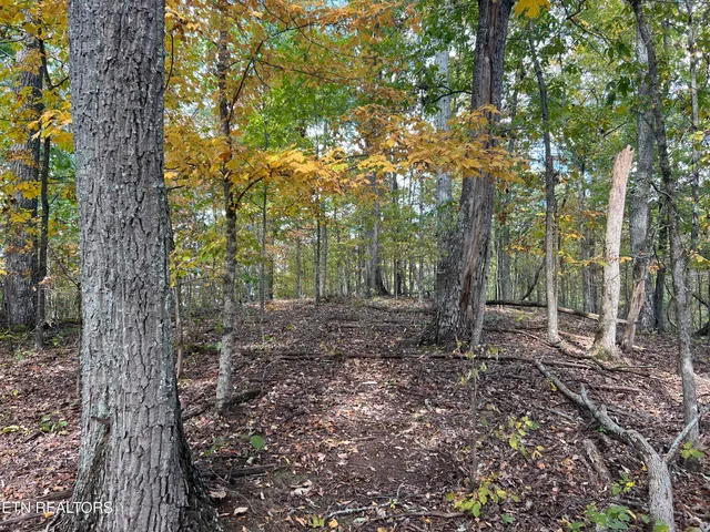 $160,000 | 0 Brady Road, Newport, TN 37821