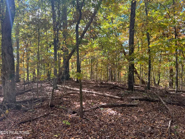 $160,000 | 0 Brady Road, Newport, TN 37821