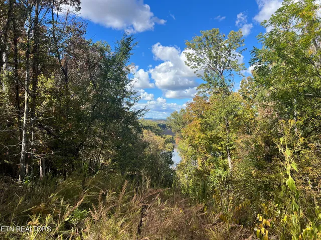 $160,000 | 0 Brady Road, Newport, TN 37821