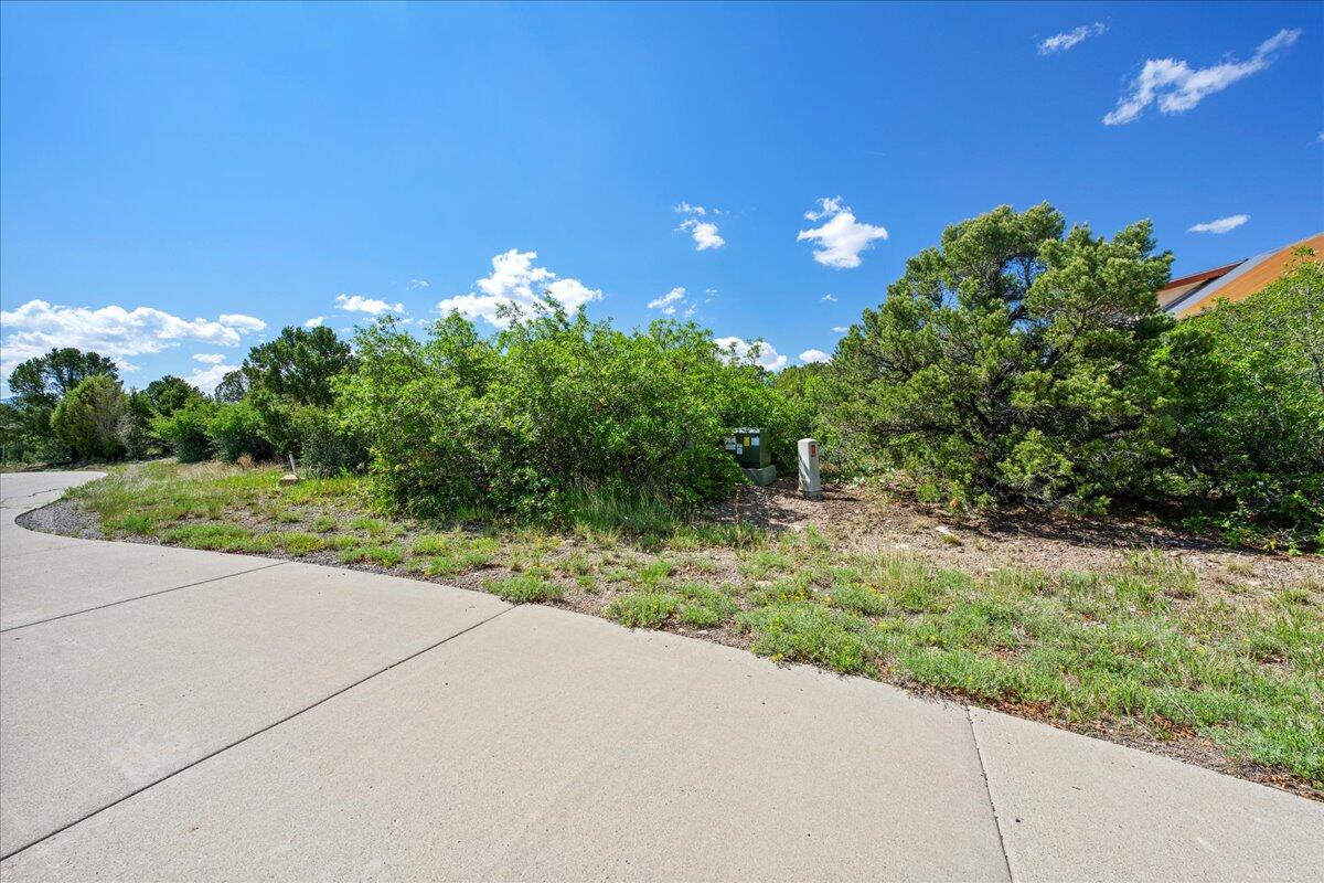 802B Pine Drive Ridgway, CO 81432 - Photo 11 of 14 13-DSC6562