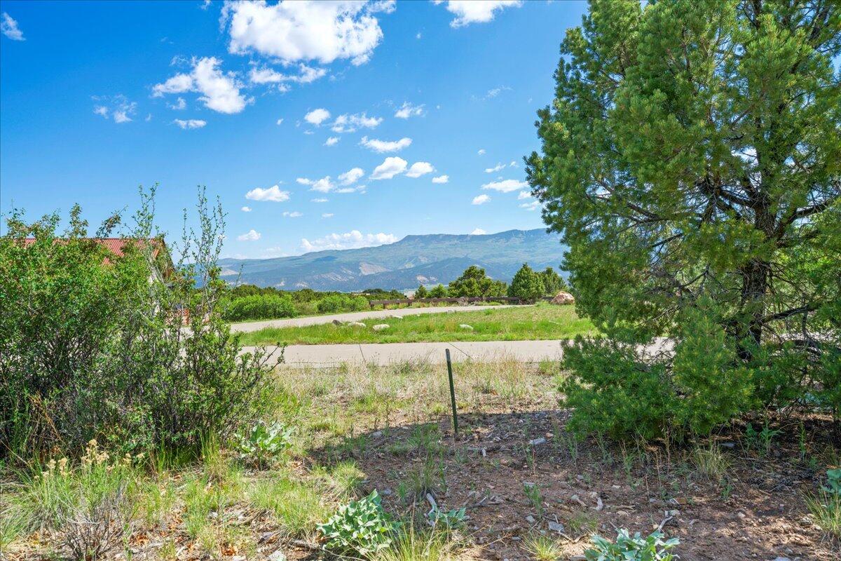 802B Pine Drive Ridgway, CO 81432 - Photo 13 of 14 12-DSC6565