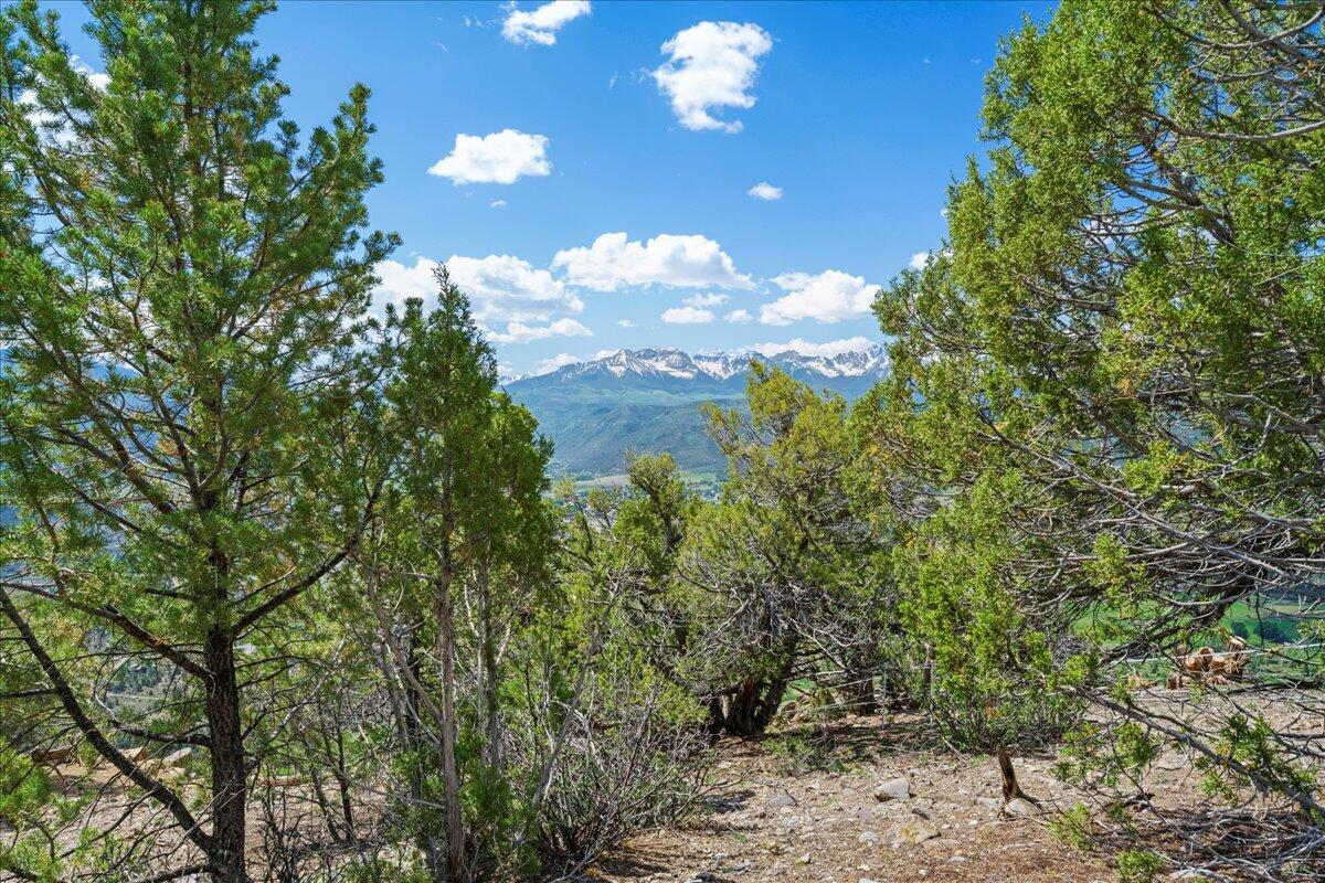 802B Pine Drive Ridgway, CO 81432 - Photo 4 of 14 11-DSC6568
