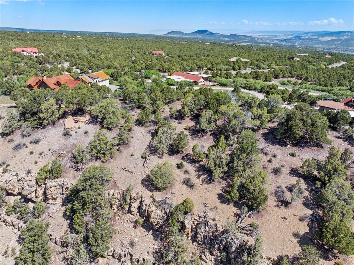 802B Pine Drive Ridgway, CO 81432 - Photo 8 of 14 08-DJI_20250608102254_0138_D