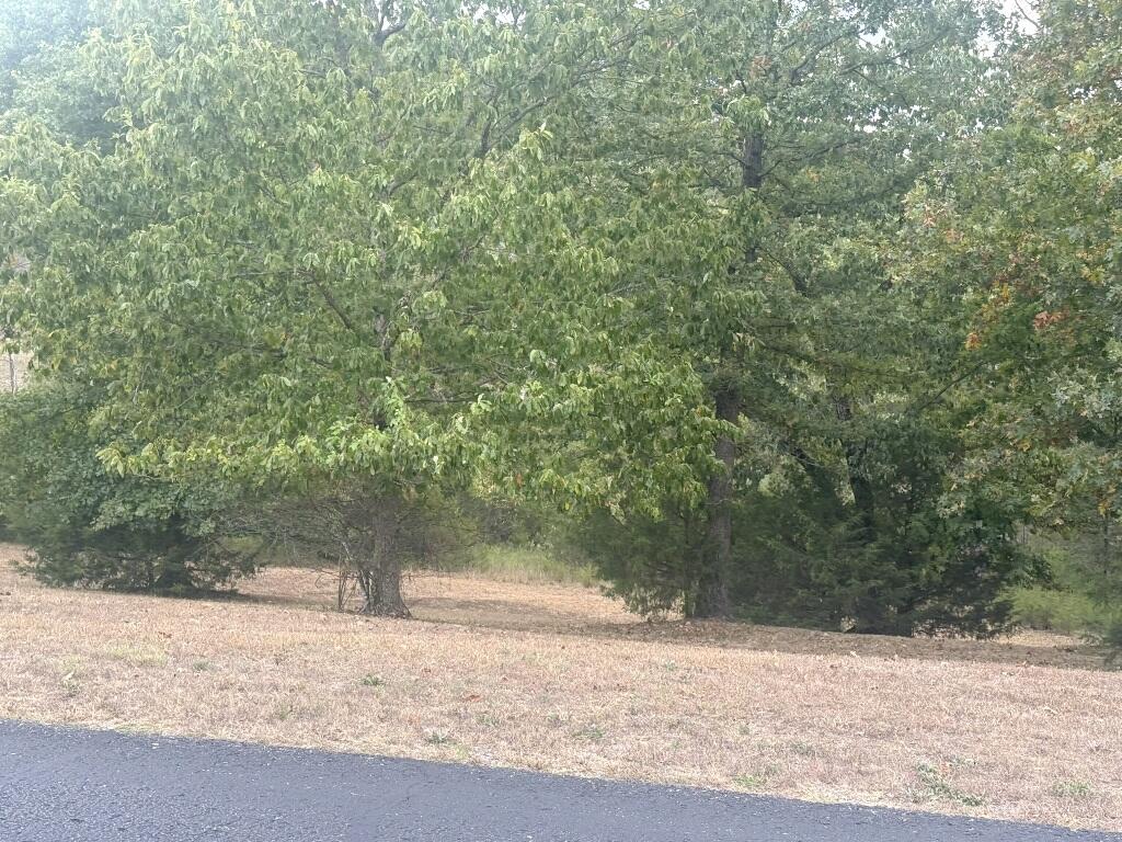 121 Ranch Road Chestnutridge, MO 65630 - Photo 11 of 12 IMG_8512