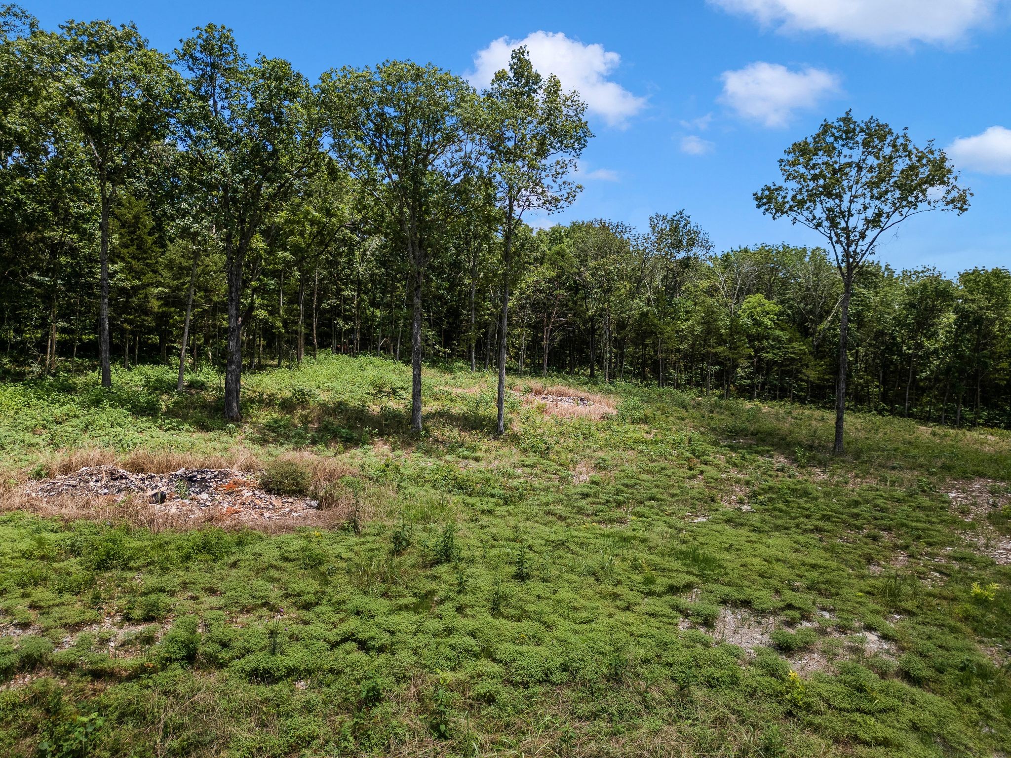 0 South Windrow Road Rockvale, TN 37153 - Photo 2 of 13
