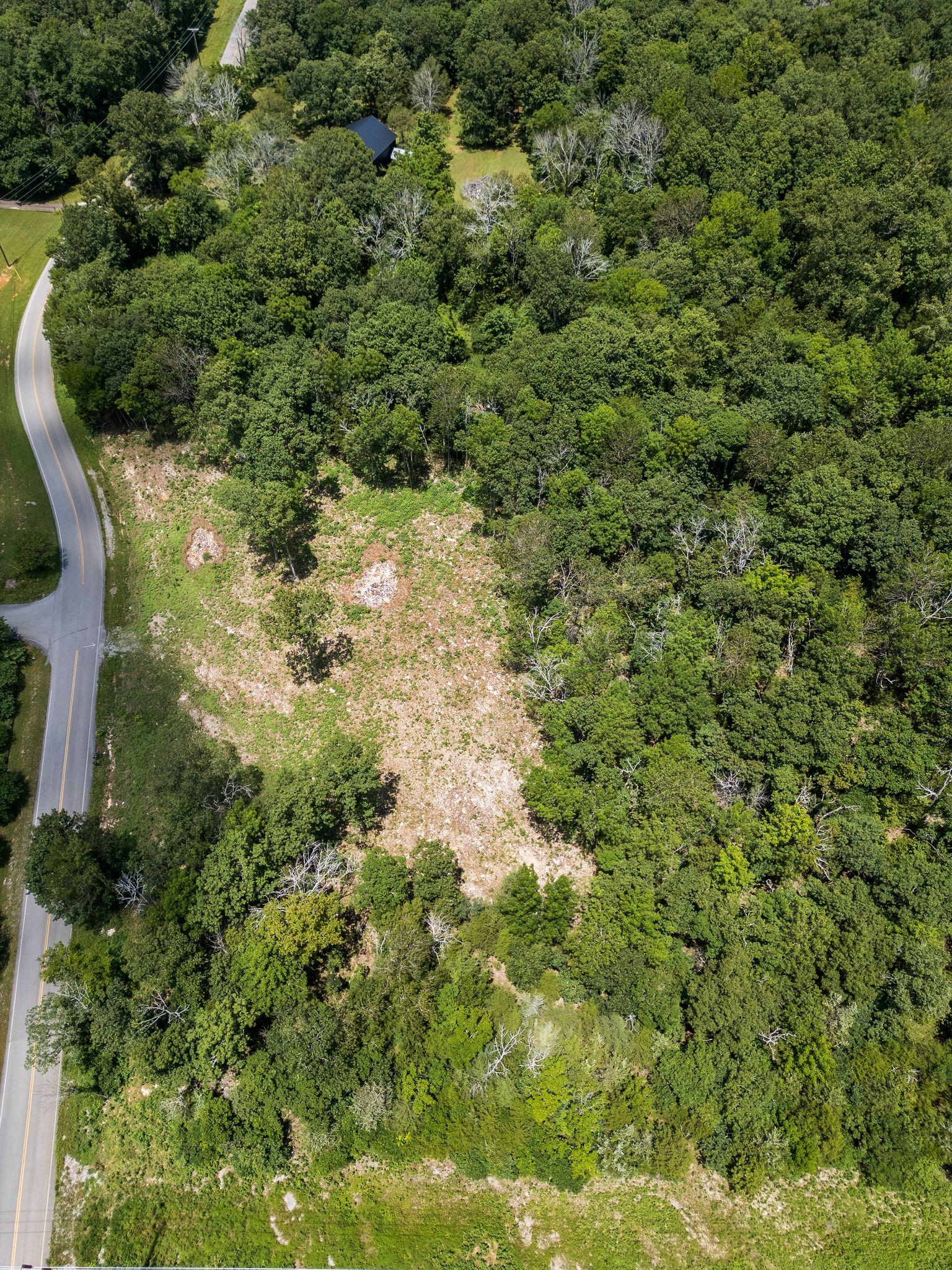0 South Windrow Road Rockvale, TN 37153 - Photo 10 of 13