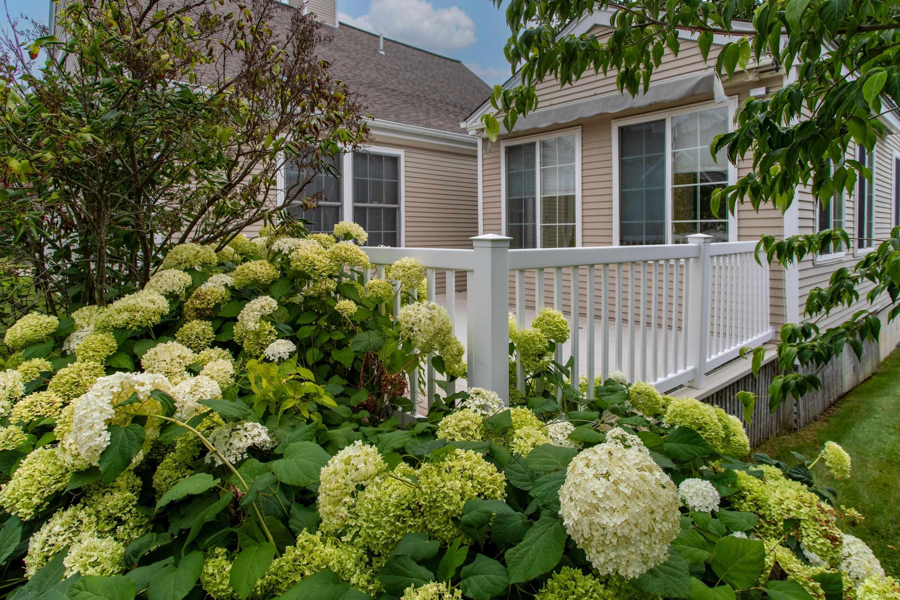 63 Hampton Meadows Hampton, NH 03842 - Photo 42 of 55 Gallery Image 42