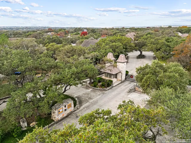 a view of a potted plants on the wall