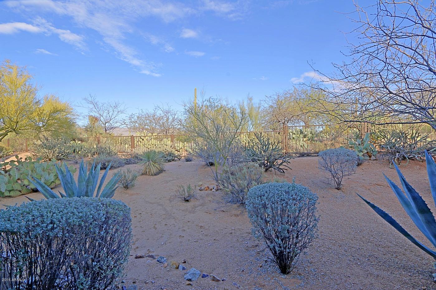 36601 North Mule Train Road, Unit 8A Carefree, AZ 85377 - Photo 39 of 50 a view of a backyard