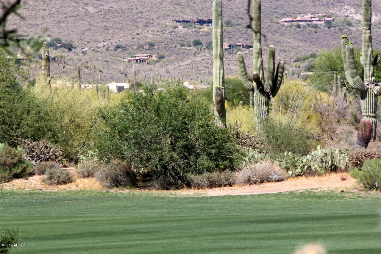 36601 North Mule Train Road, Unit 8A Carefree, AZ 85377 - Photo 40 of 50 a view of a big yard with plants and large tree