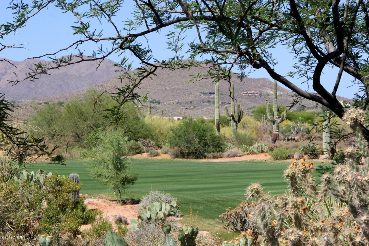 36601 North Mule Train Road, Unit 8A Carefree, AZ 85377 - Photo 47 of 50 a view of a golf course with a tree