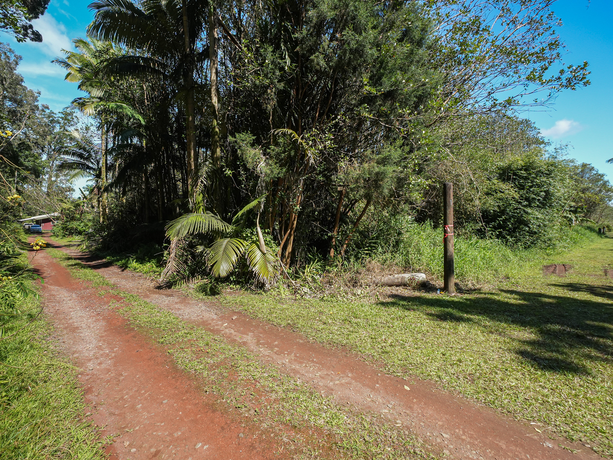 2 Volcano Road Mountain View, HI 96771 - Photo 14 of 18