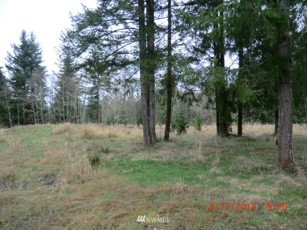 229 Jefferies Road Chehalis, WA 98532 - Photo 4 of 8
