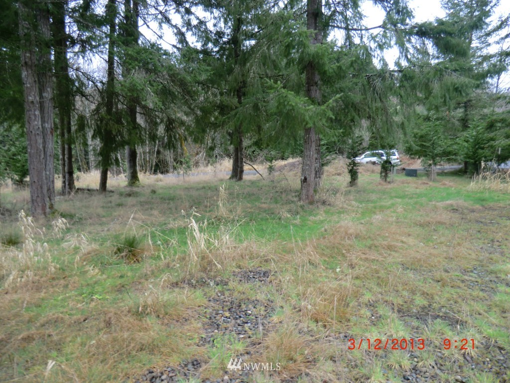 229 Jefferies Road Chehalis, WA 98532 - Photo 5 of 8