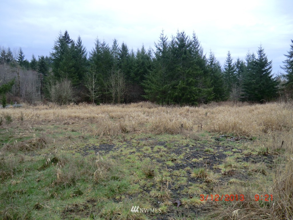 229 Jefferies Road Chehalis, WA 98532 - Photo 6 of 8