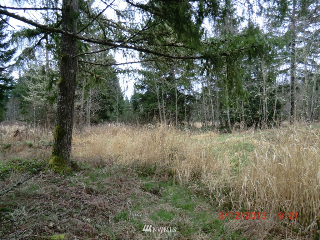 229 Jefferies Road Chehalis, WA 98532 - Photo 7 of 8