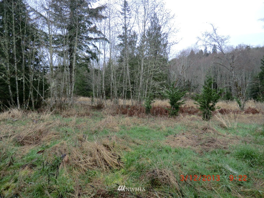 229 Jefferies Road Chehalis, WA 98532 - Photo 8 of 8