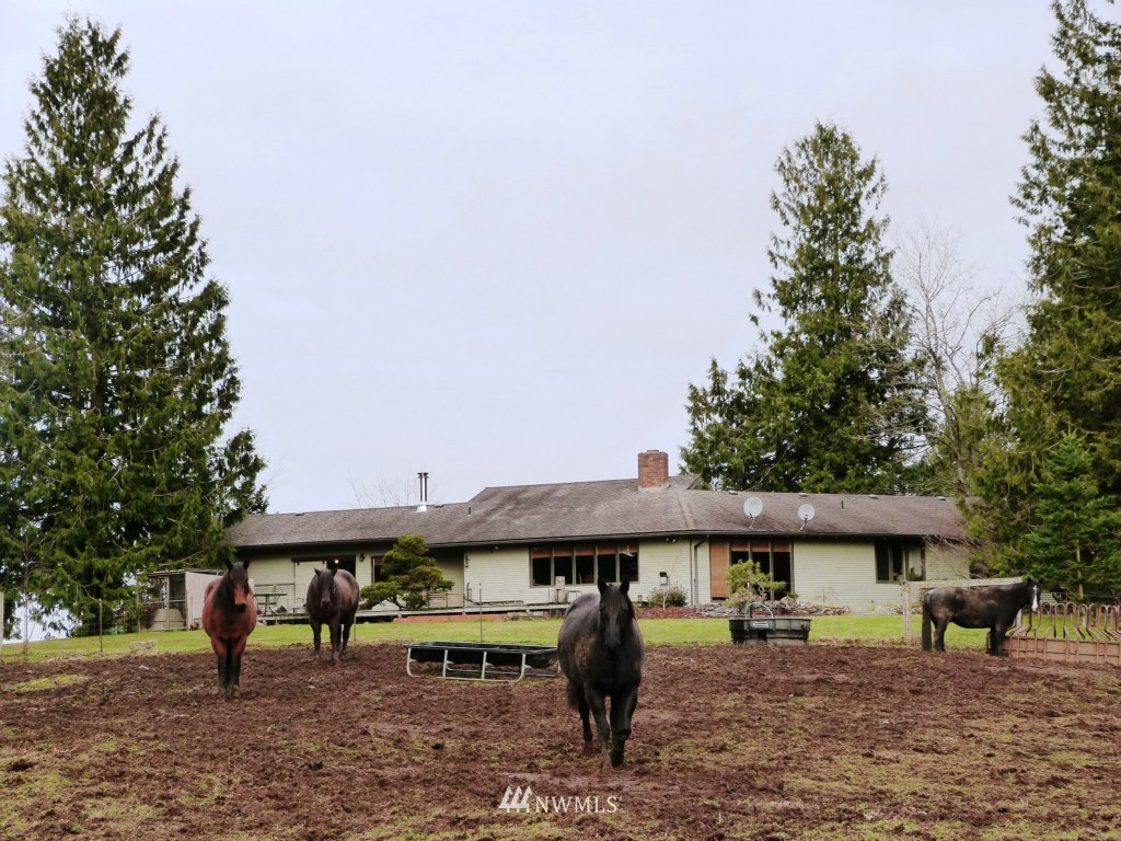 1779 East Smith Road Bellingham, WA 98226 - Photo 3 of 25