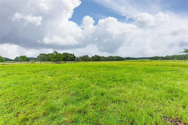 a view of a big yard with lots of green space