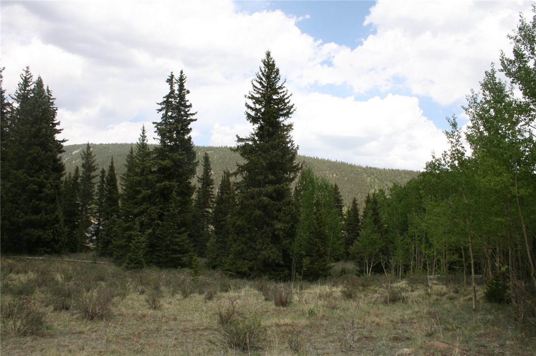 544 Edgewood Road Alma, CO 80420 - Photo 10 of 17 Gallery Image 10