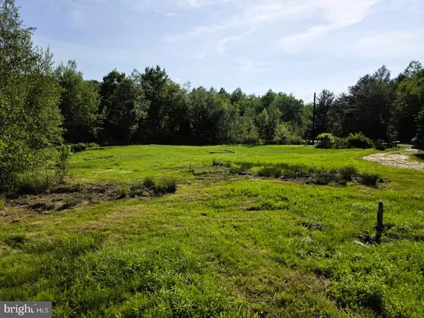 a view of an outdoor space and yard