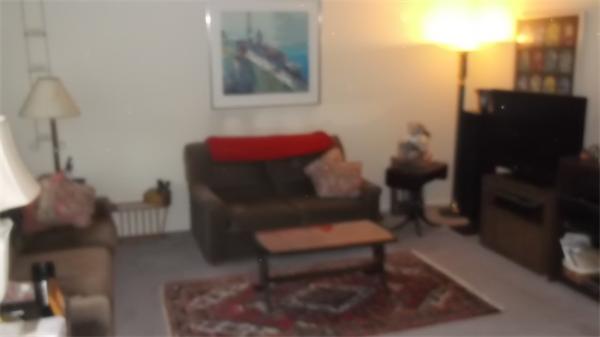 116 Turnpike Road, Unit 6 Chelmsford, MA 01824 - Photo 6 of 7 Gallery Image 6