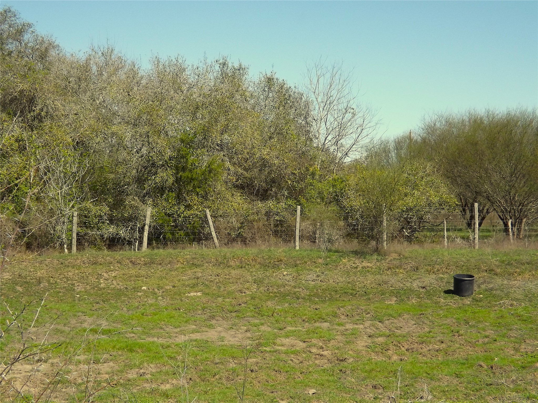 1649 County Road 209 Weimar, TX 78962 - Photo 13 of 27 a view of outdoor space with trees all around
