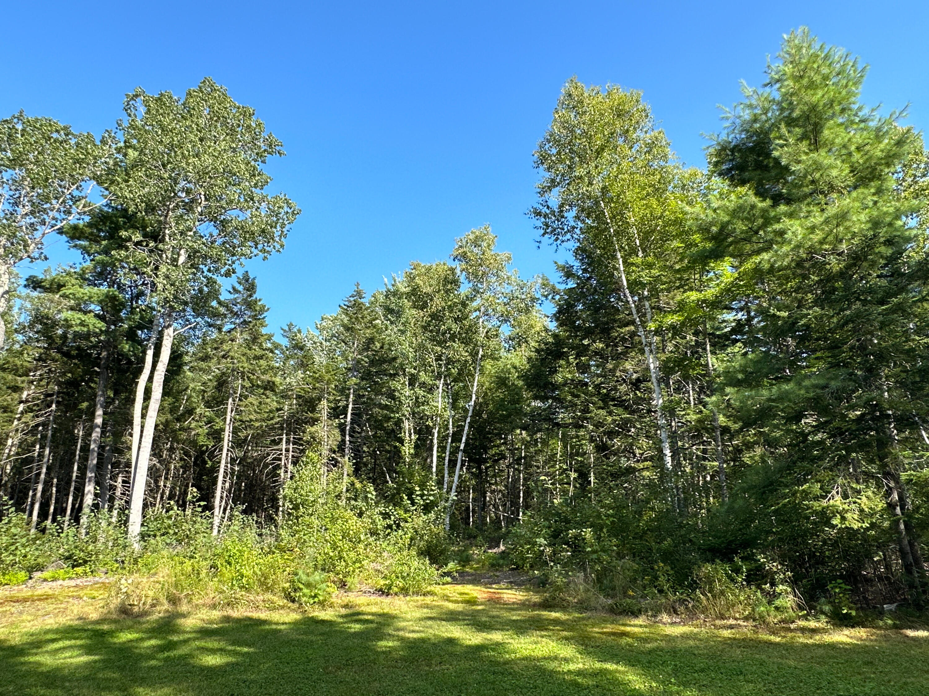 1145 Otis Road Ellsworth, ME 04605 - Photo 72 of 101 IMG_8194