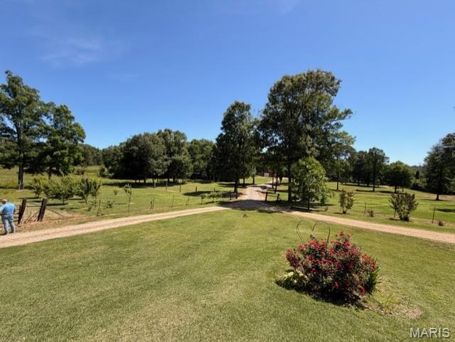 5539 Ripley Route East Doniphan, MO 63935 - Photo 23 of 28