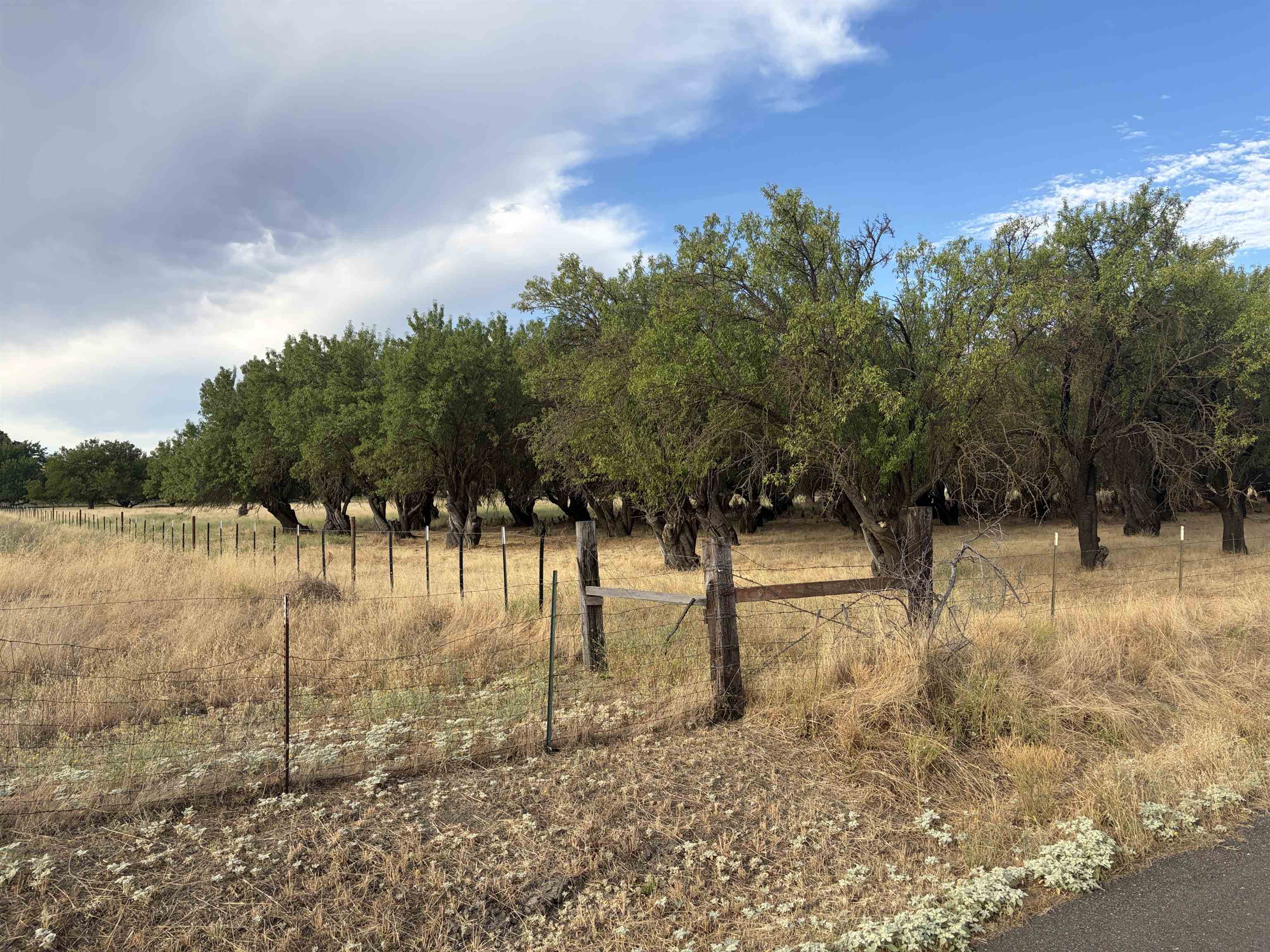 19115 Simpson Road Corning, CA 96021 - Photo 29 of 35