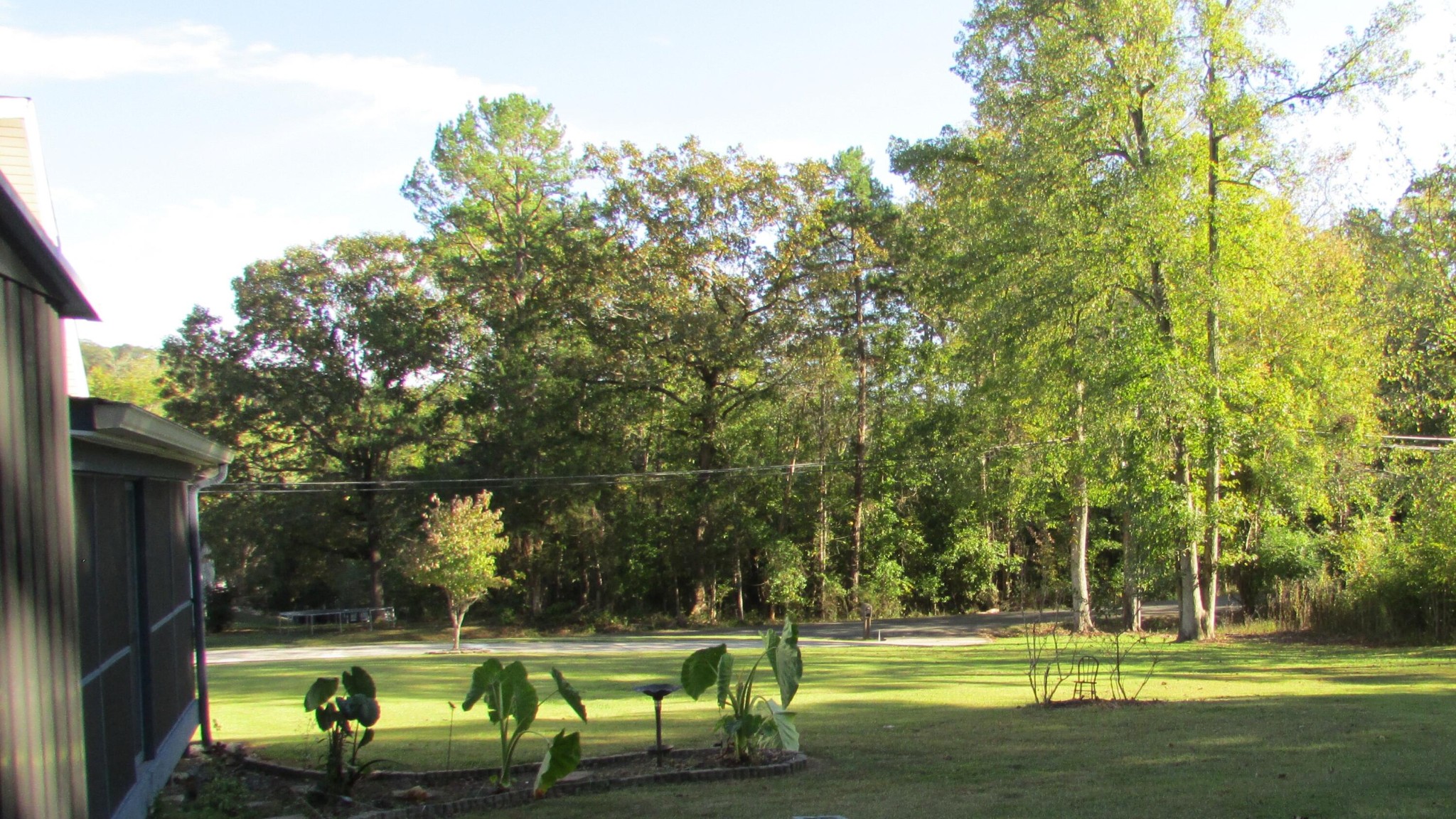 8441 Toestring Valley Road Spring City, TN 37381 - Photo 35 of 39 a view of a park with large trees